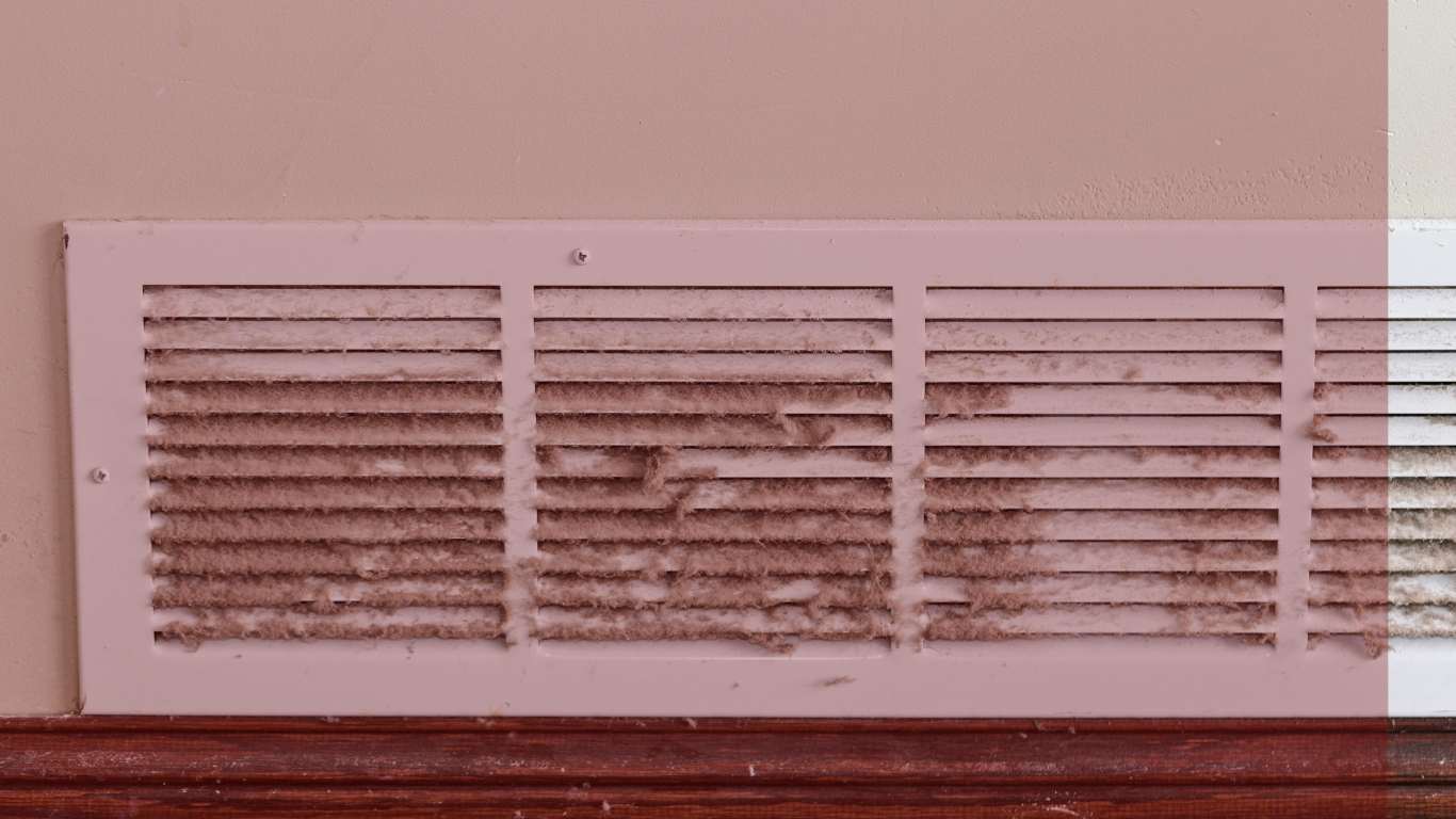 Air Duct Mold Removal Near Me