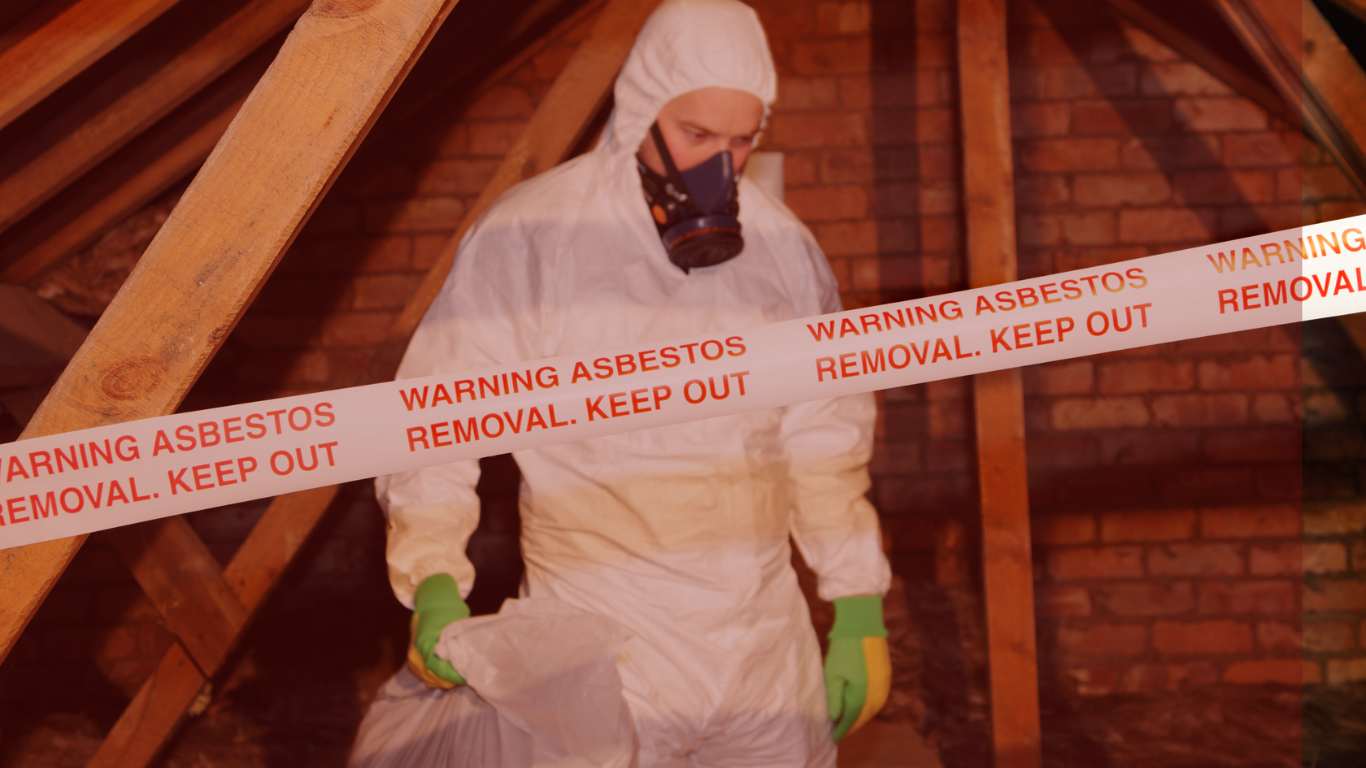 Attic Mold Removal Near Me