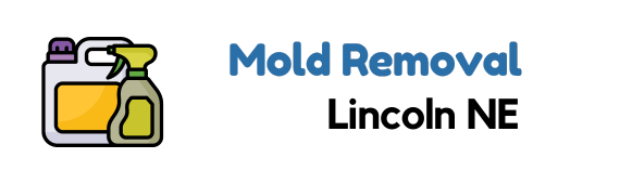 Expert Mold Removal in Lincoln, NE